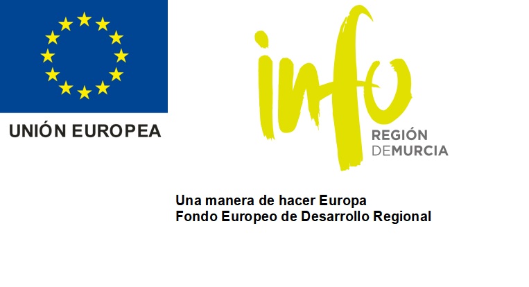 PROGRAMA DE APOYO A EMPRESAS DE LA REGION DE MURCIA DIRIGIDO A LA PROMOCION INTERNACIONAL.